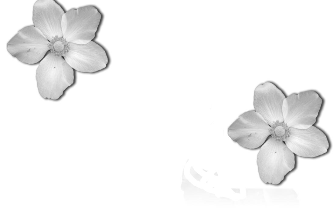 Some test image.